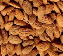 فروش و قیمت عمده مغز بادام مراغه